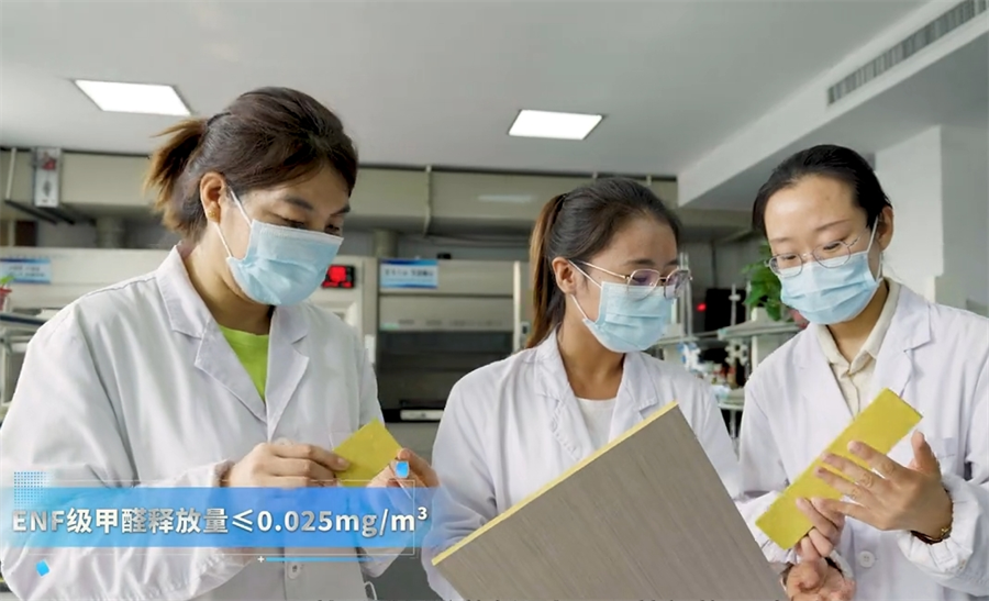 微信截圖_20241127183141 微信截圖_20241127183141